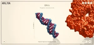 Size of Life