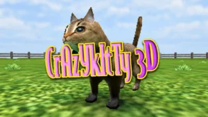 Crazy Kitty 3D